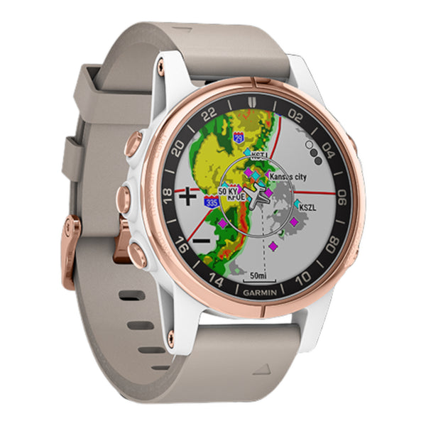 Garmin D2s